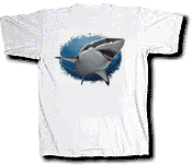 Shark T-Shirt (back)